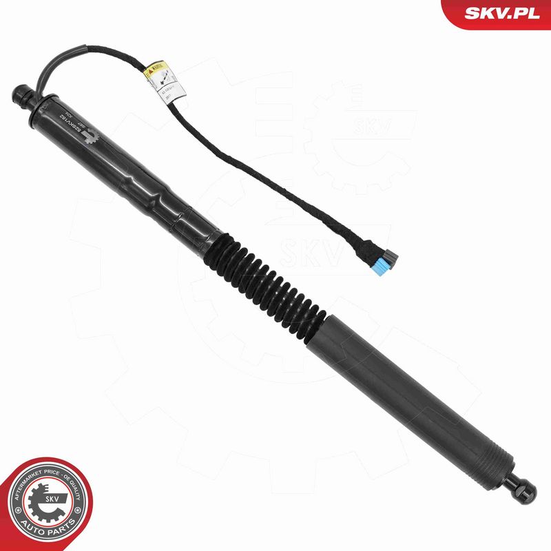 ESEN SKV 52SKV182 Electric Motor, tailgate