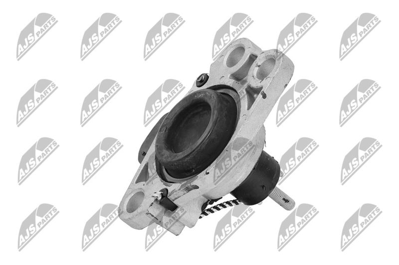 Paigutus, Mootor, NTY ZPS-RE-018
