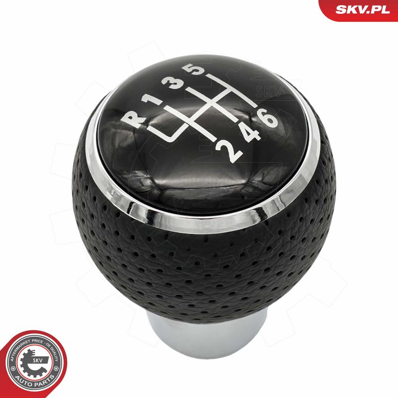 Käigukanginupp, ESEN SKV...