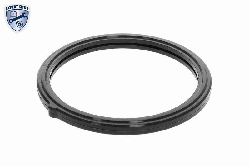 ACKOJA A52-99-0010 Thermostat, coolant