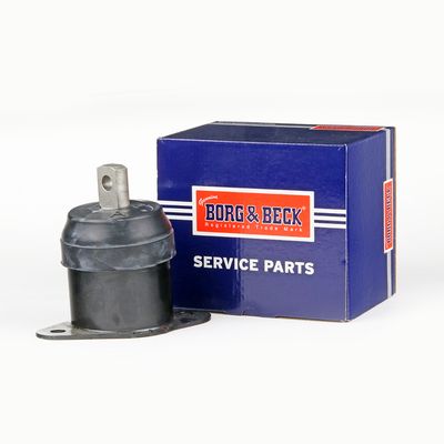 BEM3597_5324988.JPG