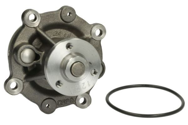 Image 2