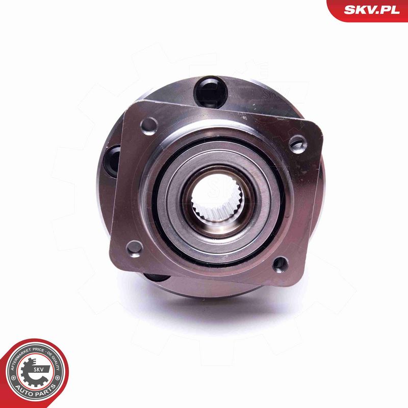 ESEN SKV 29SKV548 Wheel Bearing Kit