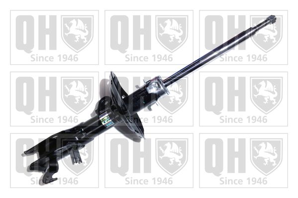 QH_QAG181046.JPG