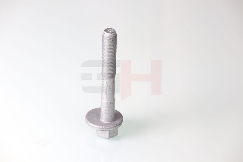 GH GH-399901 Camber Correction Screw