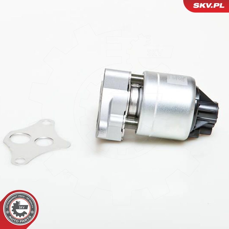 EGR-klapp, ESEN SKV 14SKV037