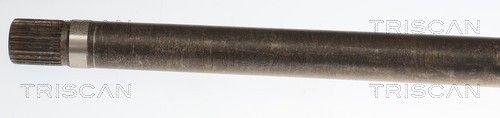 854027598_2.JPG