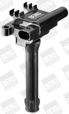 BorgWarner (BERU) ZS501 Ignition Coil