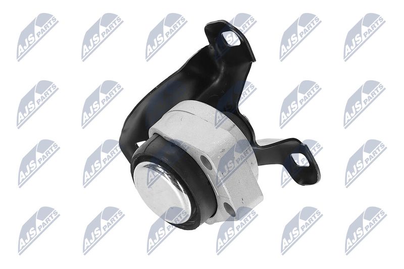 Paigutus, Mootor, NTY ZPS-FR-011