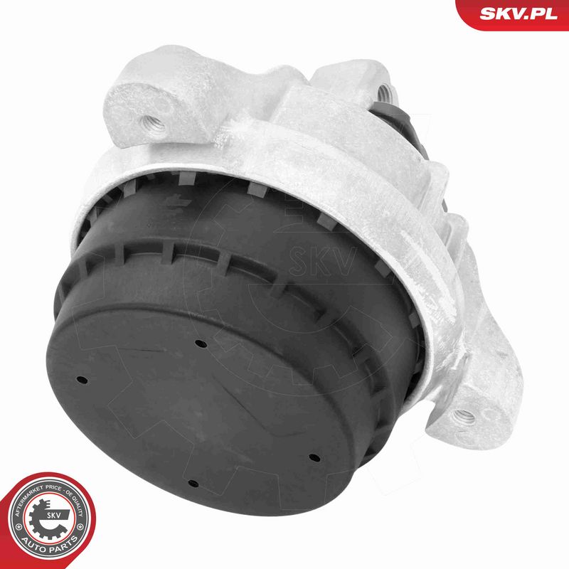 ESEN SKV 75SKV250 Mounting, engine