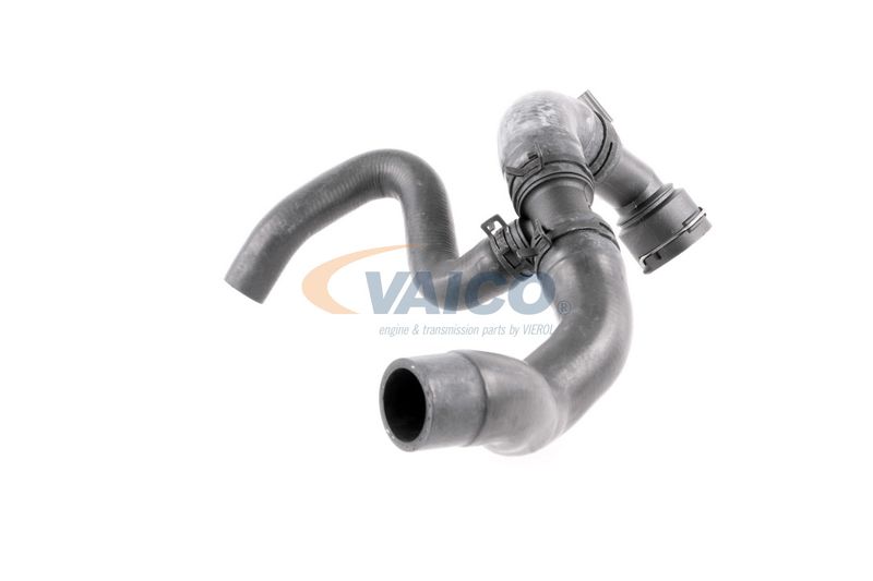VAICO V10-4662 Talosa Radiator Hose