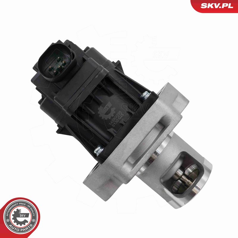 ESEN SKV 14SKV296 EGR Valve