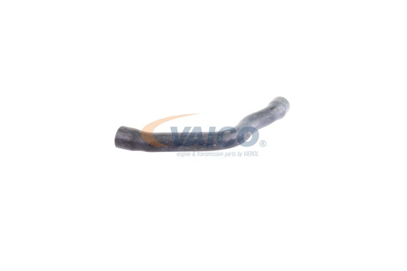 VAICO V30-2099 Radiator Hose