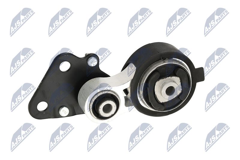 Paigutus, Mootor, NTY ZPS-CH-075