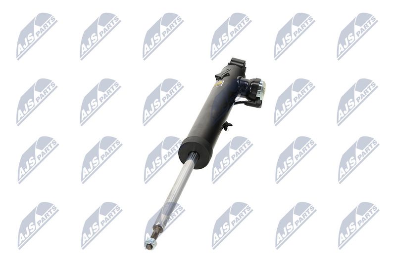 Amort, NTY A-PL-066