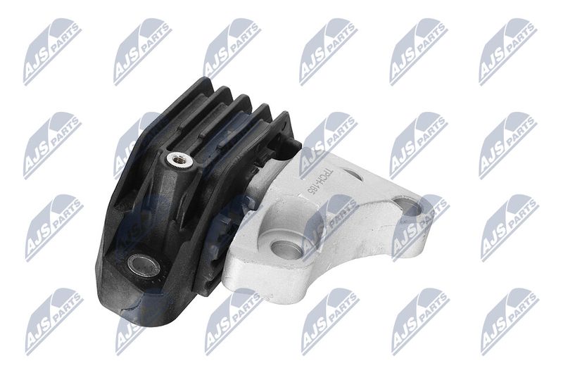 Paigutus, Mootor, NTY ZPS-CH-165