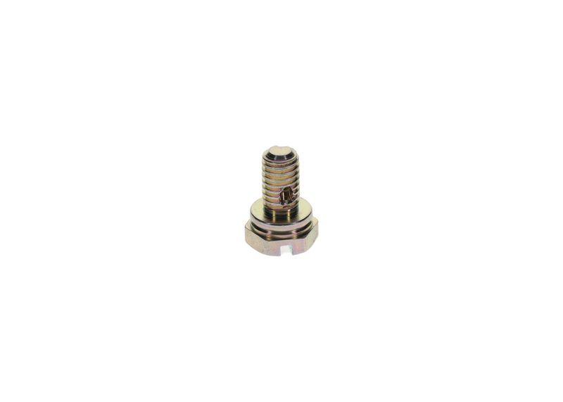 Surub 1 413 453 025 BOSCH