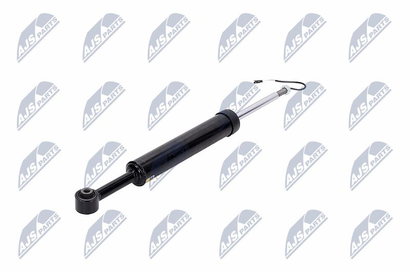 Amort, NTY A-MA-002
