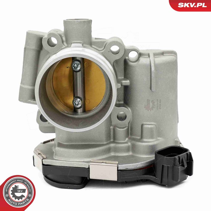 ESEN SKV 12SKV135 Throttle Body