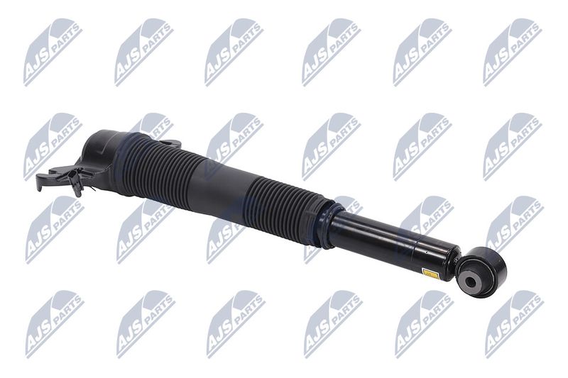 Amort, NTY A-LR-021