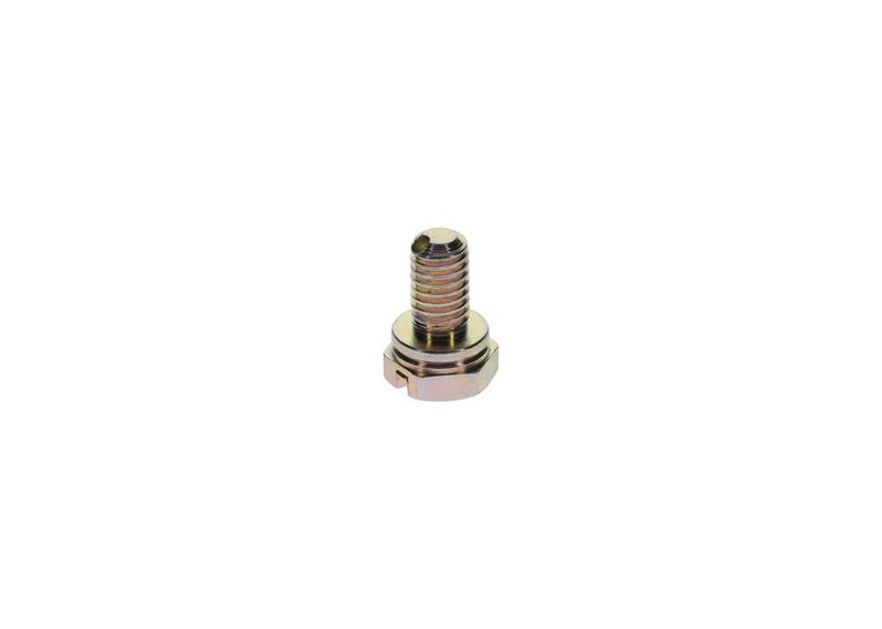 Surub 1 413 453 025 BOSCH