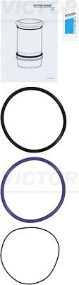 VICTOR REINZ 15-76073-02 - Gasket Set, cylinder liner