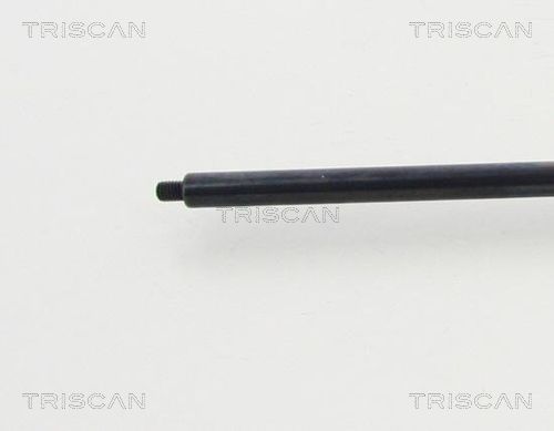 TRIS87101022452800_2.JPG