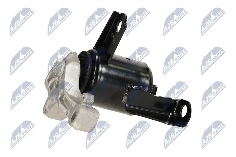 Paigutus, Mootor, NTY ZPS-FR-058