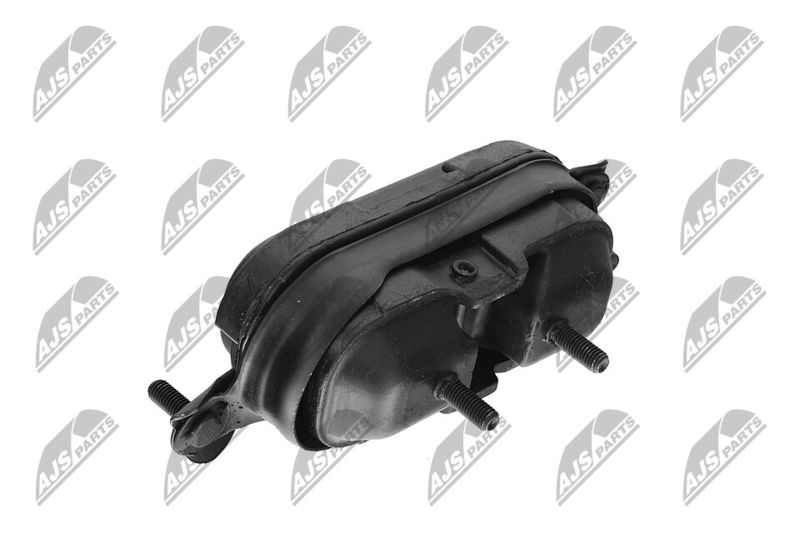 Paigutus, Mootor, NTY ZPS-CH-115