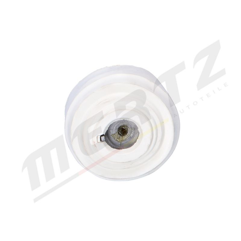 MERTZ M-S5184 Mounting, engine