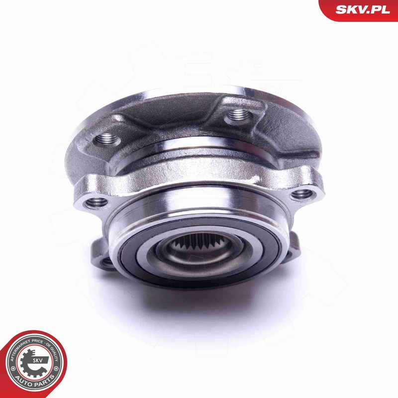 ESEN SKV 29SKV309 Wheel Bearing Kit