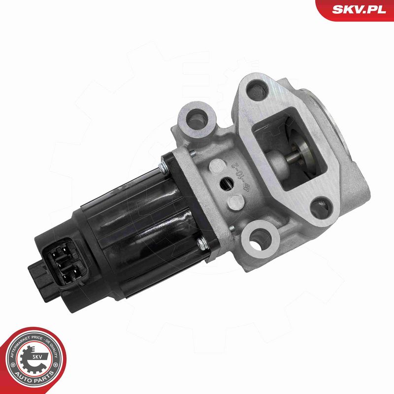 ESEN SKV 14SKV300 EGR Valve