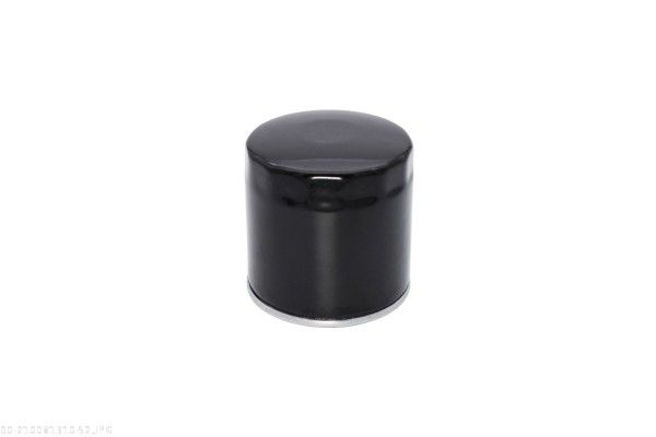 AUTOMEGA 210081310 Oil Filter