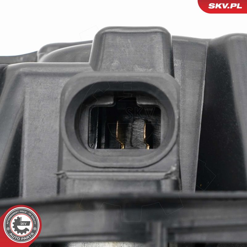 Salongipuhur, ESEN SKV...