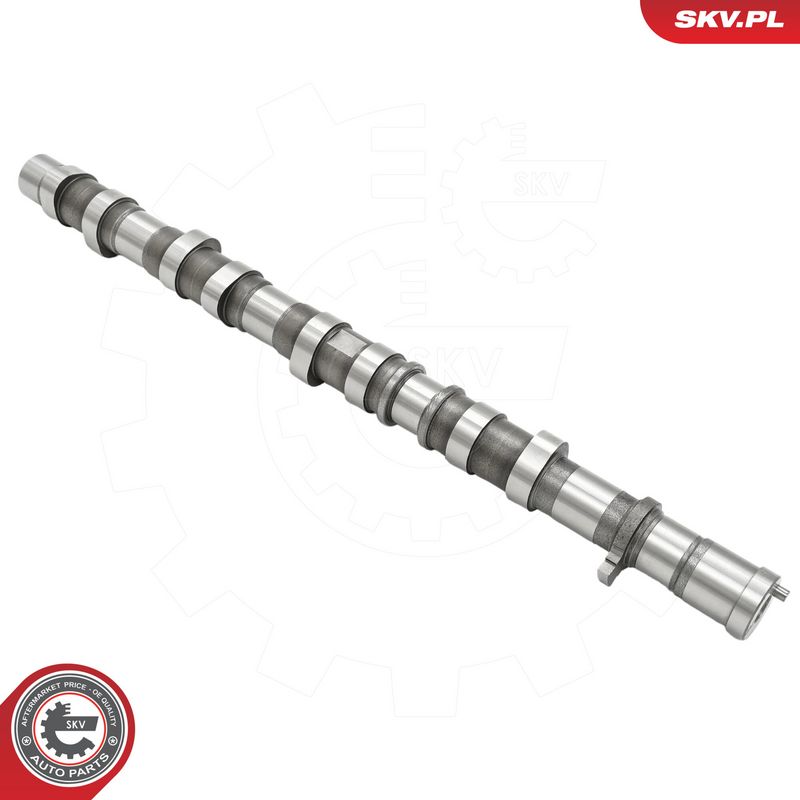 Ax cu came ESEN SKV 80SKV069