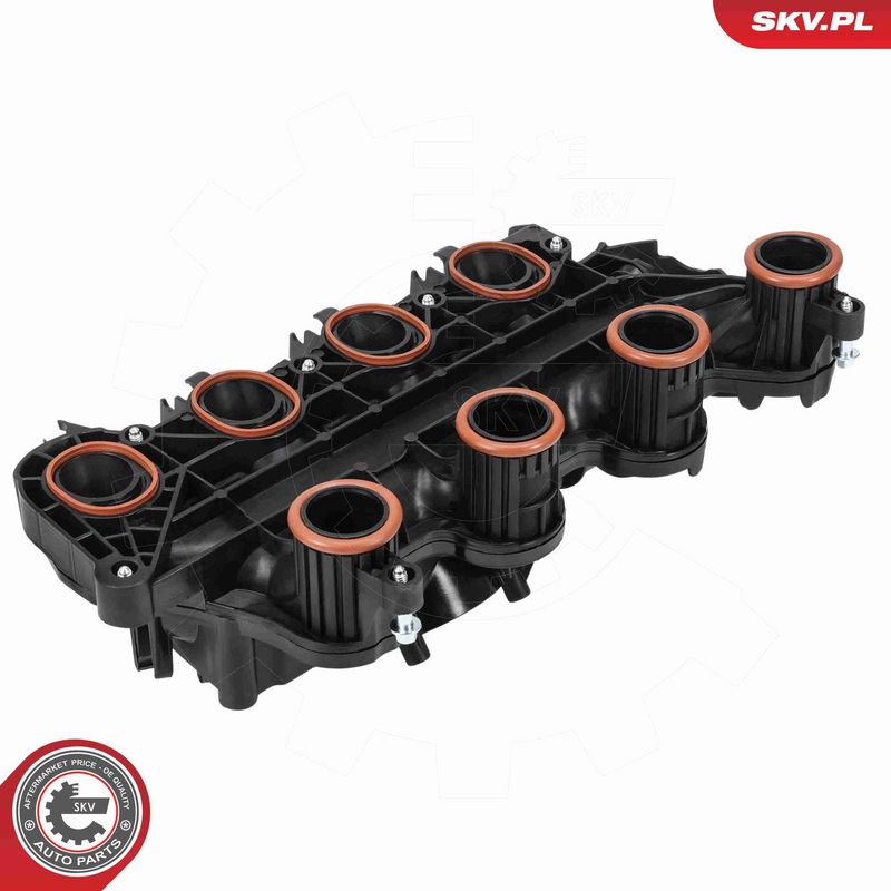 ESEN SKV 49SKV104 Intake Manifold Module