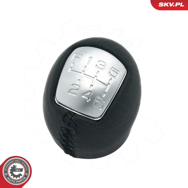 Käigukanginupp, ESEN SKV...