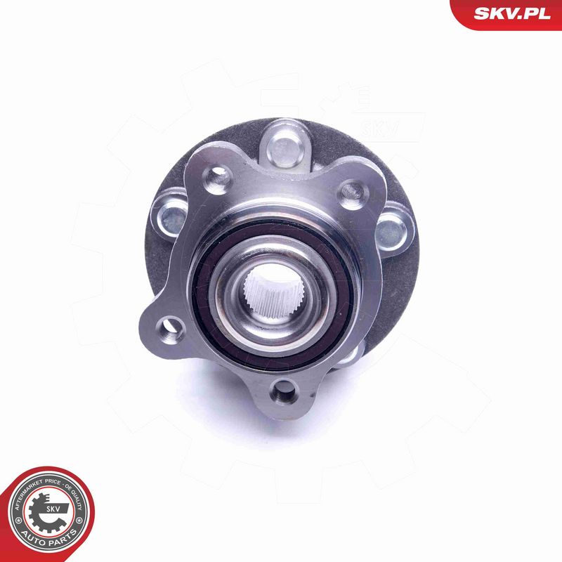 ESEN SKV 29SKV252 Wheel Bearing Kit