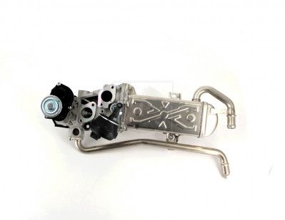 NPS V564G02 EGR Valve