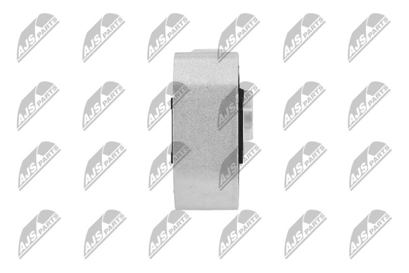 Paigutus, Mootor, NTY ZPS-ME-058