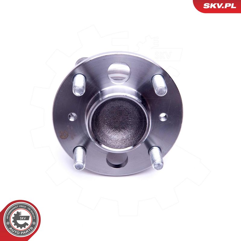 Rattalaagrikomplekt, ESEN SKV 29SKV316