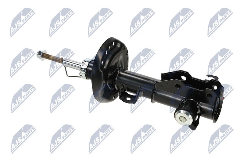 Amort, NTY A-PL-062