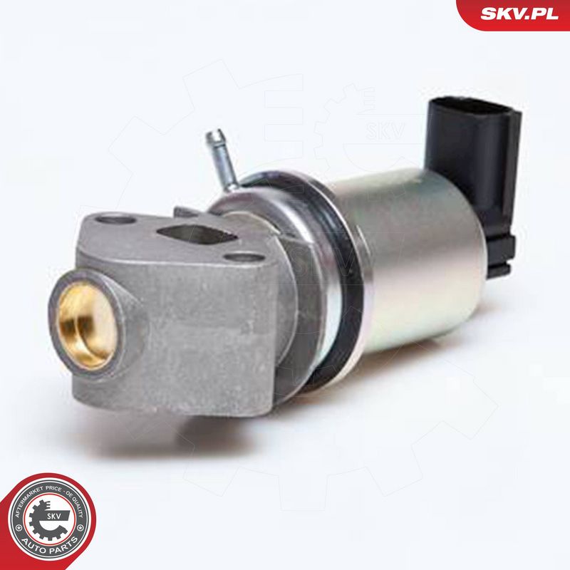 ESEN SKV 14SKV029 EGR Valve