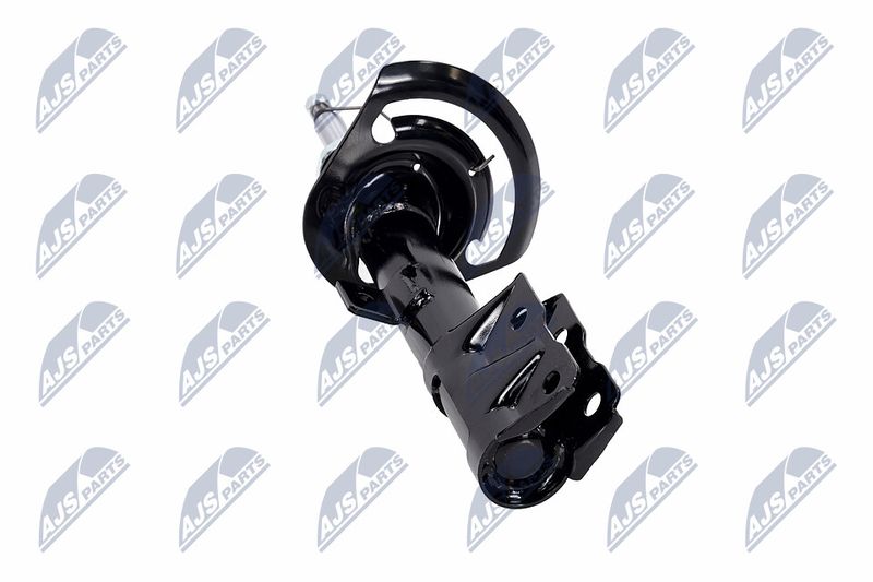 Amort, NTY A-CH-057