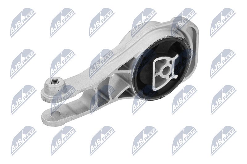Paigutus, Mootor, NTY ZPS-PL-080