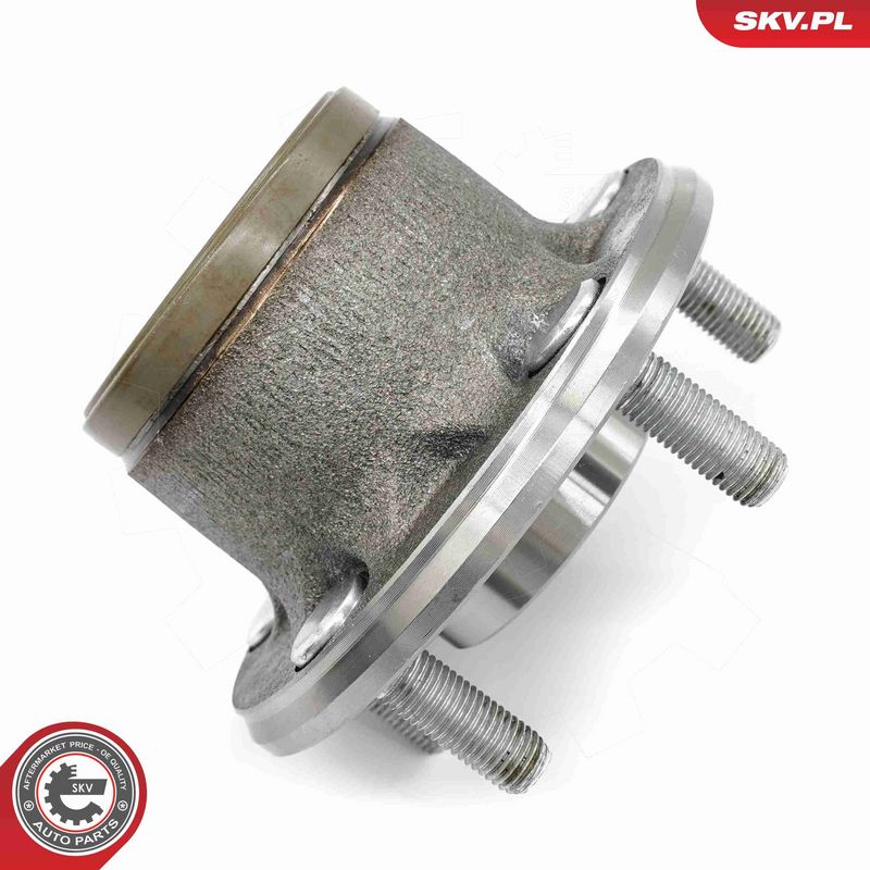 ESEN SKV 29SKV314 Wheel Bearing Kit