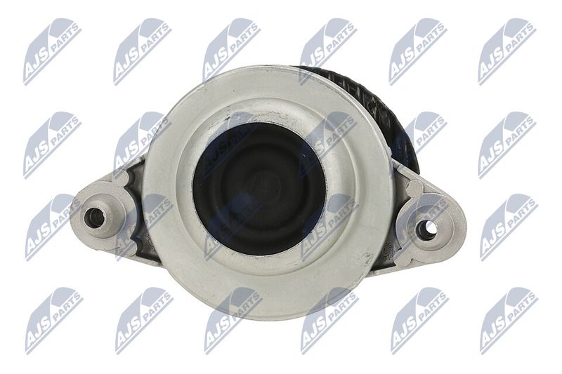 Paigutus, Mootor, NTY ZPS-ME-116