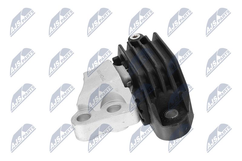 Paigutus, Mootor, NTY ZPS-CH-165