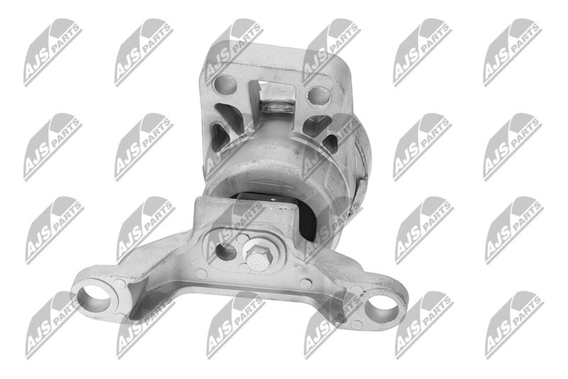 Paigutus, Mootor, NTY ZPS-FR-033