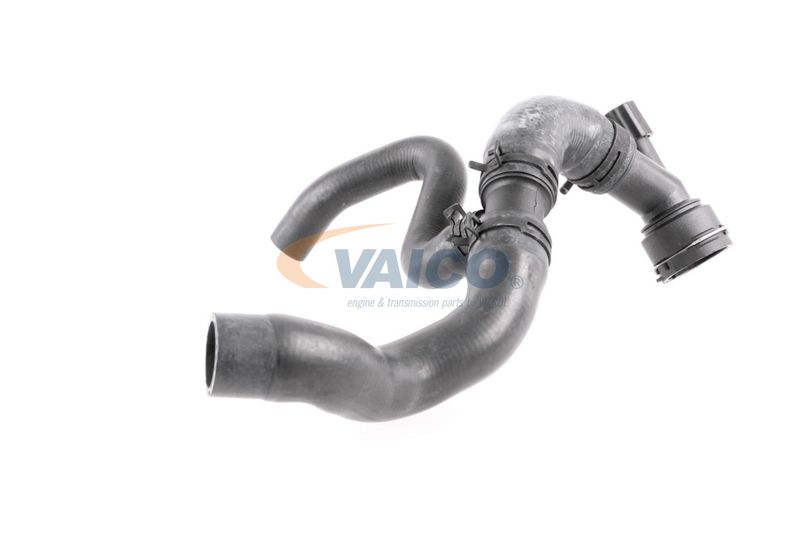 VAICO V10-4662 Talosa Radiator Hose